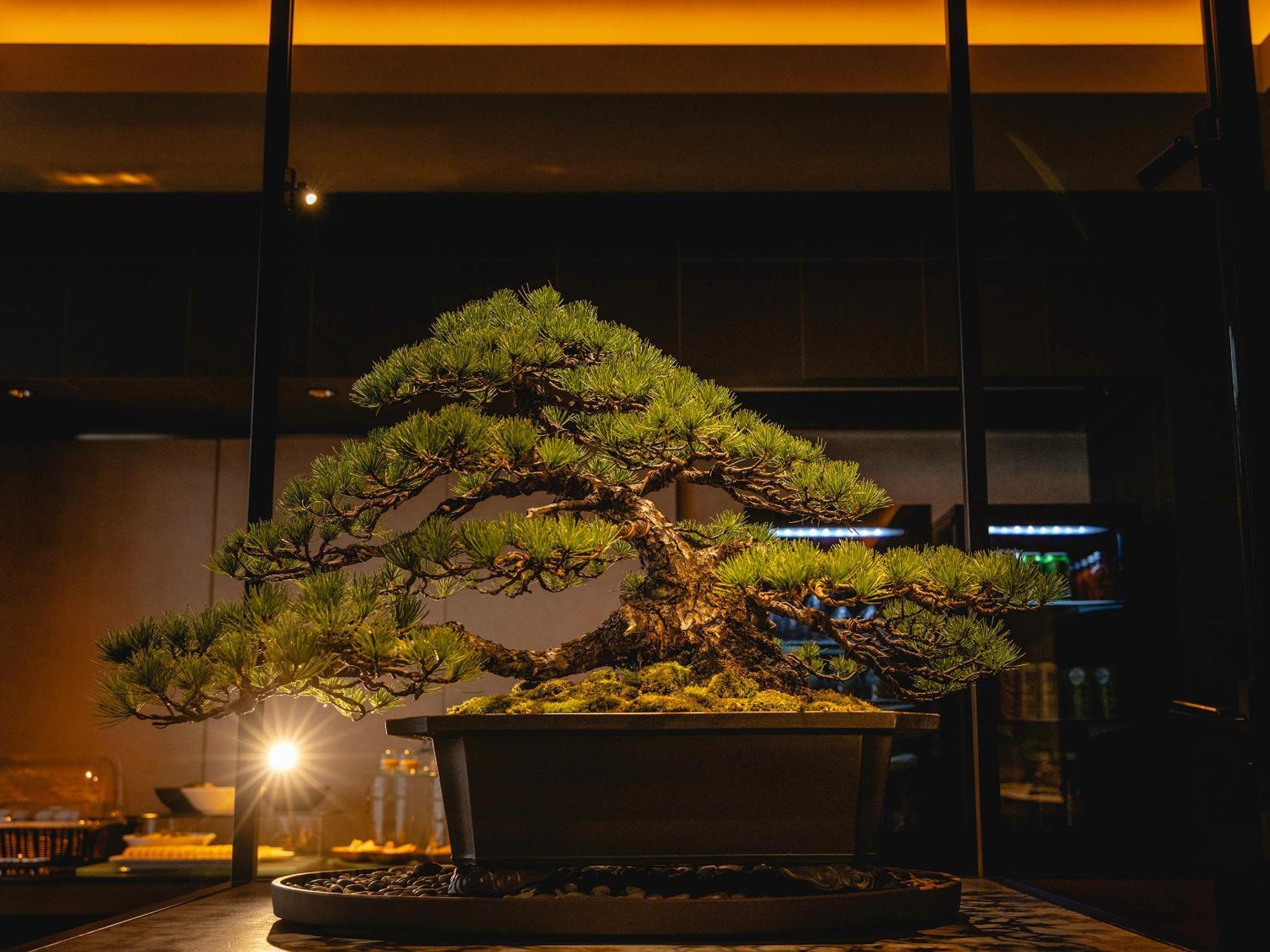 Hotel Gracery Kyoto Sanjo — Fotos 1